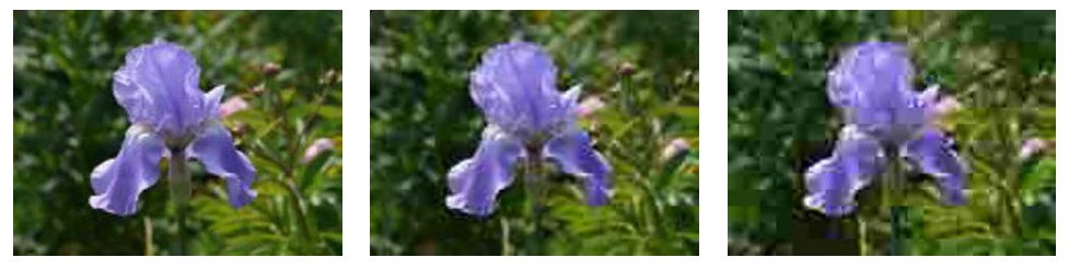 Three crops of the same flower photo saved as JPEG with lower and lower quality: the lowest quality shows square blocks and smeared colour